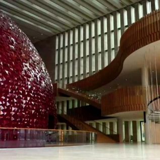 WhatsApp Image 2026-02-10 at 13.01.28 (4)